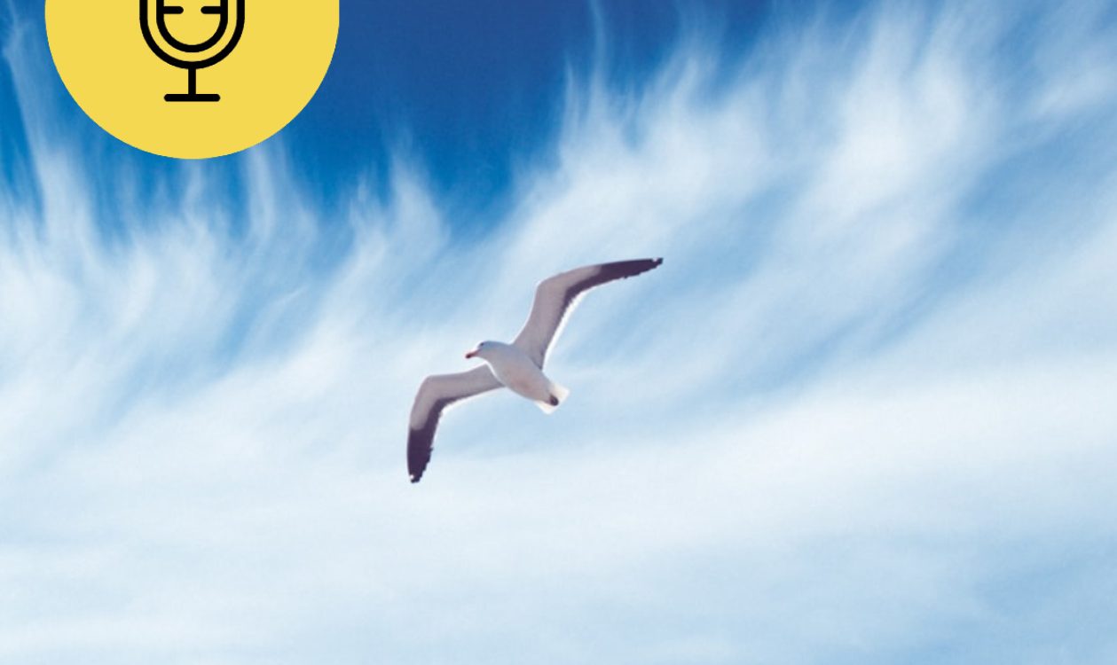 ייעוד פרק חדש בפודקאסט של הקפסולה